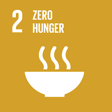 ZERO HUNGER (SDG #2)